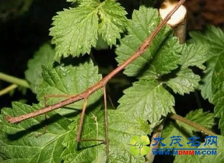 1385d999673adcf17dbfafdf_mb.jpg