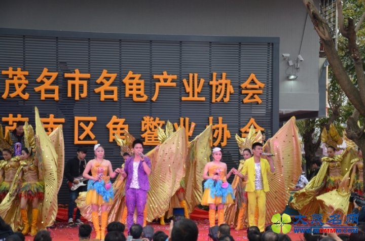 DSC_9105.jpg