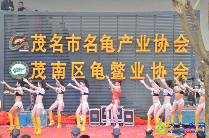 DSC_9127.jpg
