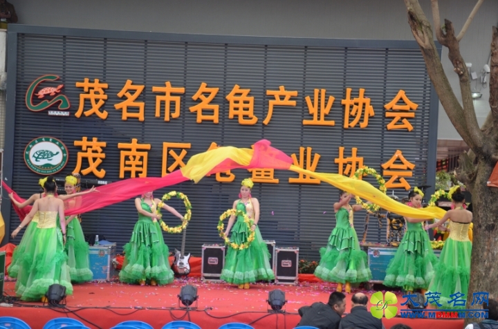 DSC_9138.jpg