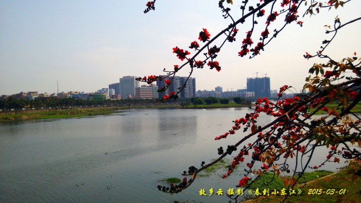 IMG_20150301_141928_副本.jpg