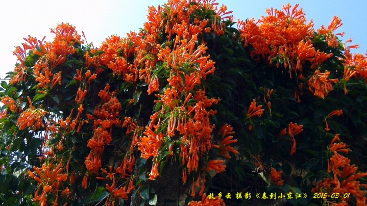 IMG_20150301_142534_副本.jpg