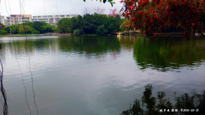 IMG_20150315_103445_.jpg