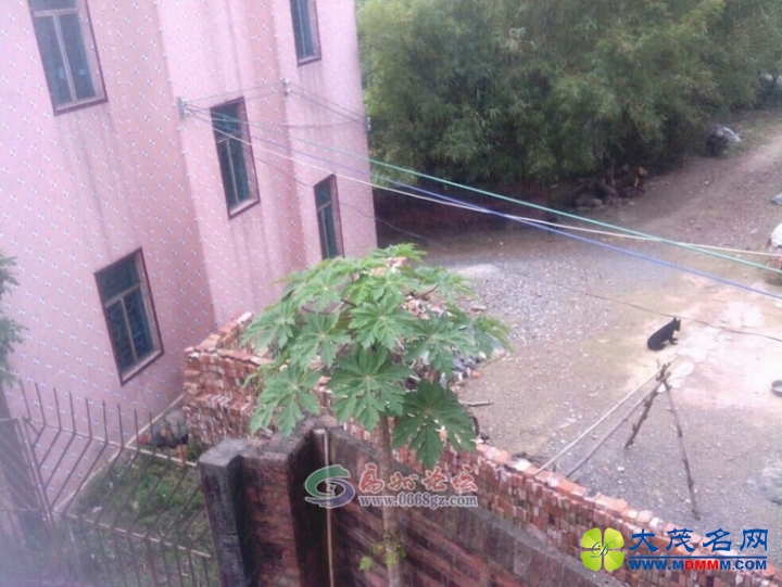 155158cz95zbc1z411k9qb.jpg