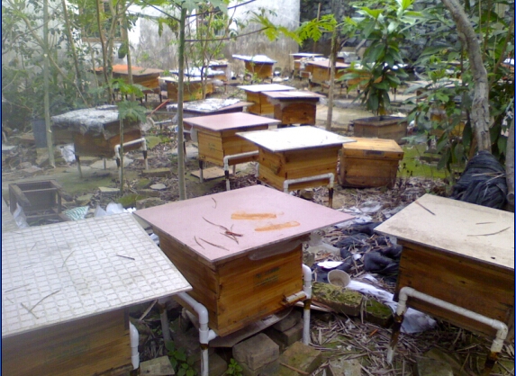 QQ截图20150406142459.jpg