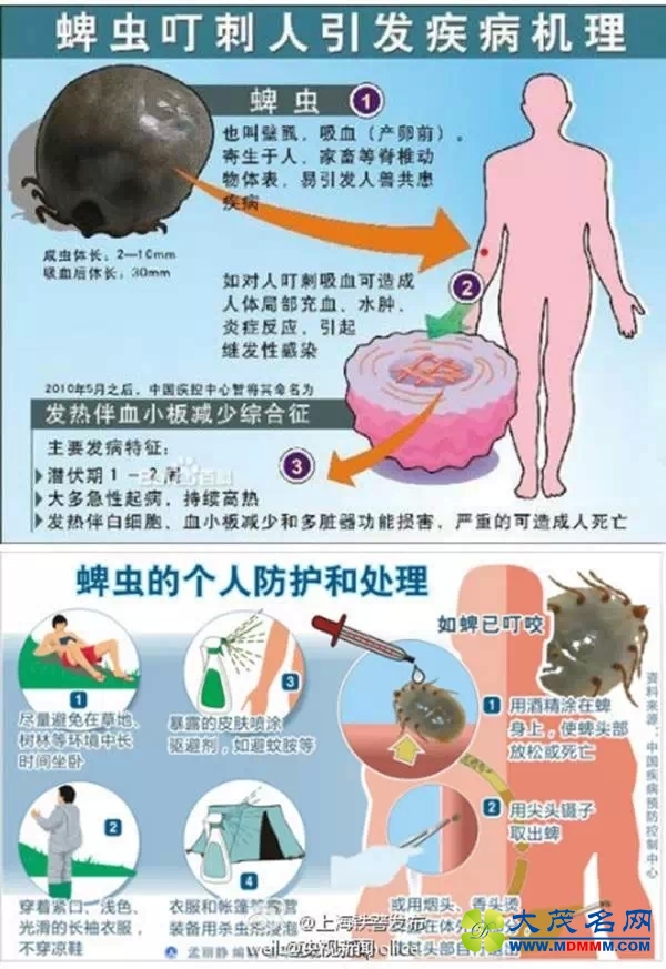 640.webp (2).jpg