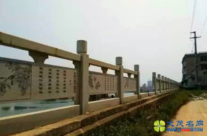 205.jpg
