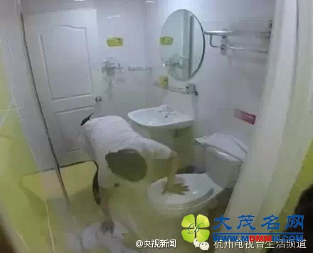 640.webp.jpg