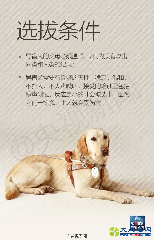 640.webp (6).jpg