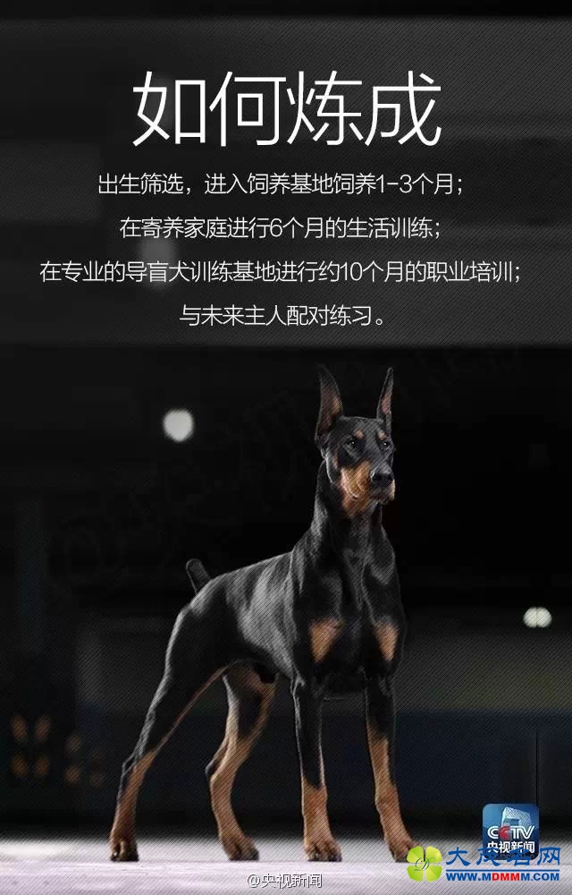 640.webp (7).jpg