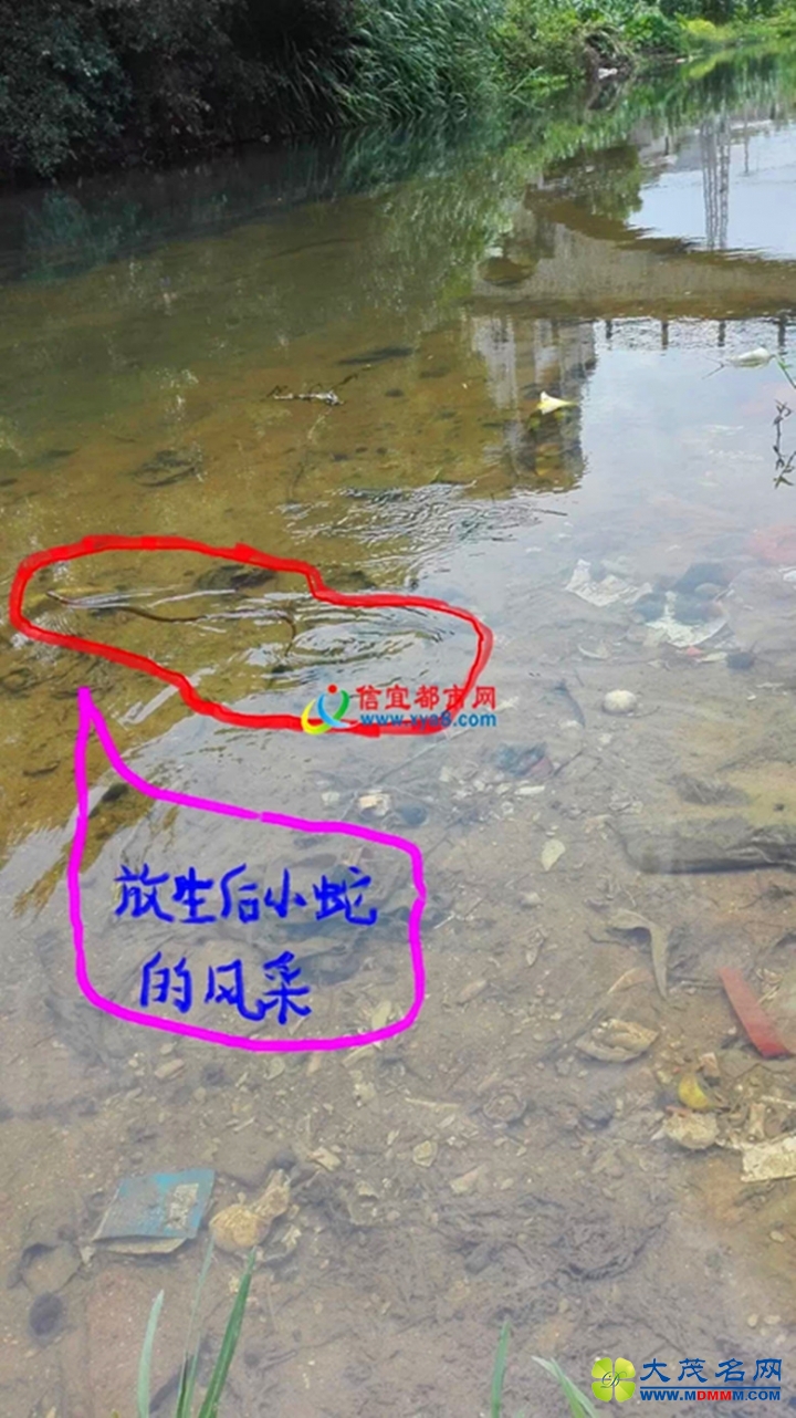 3.webp.jpg