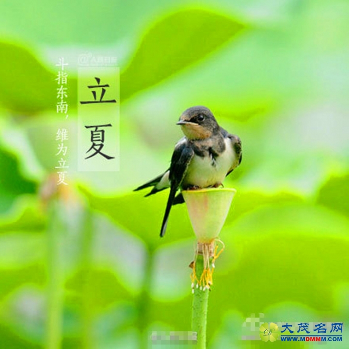 780be8edgw1ertj7qslkqj20c80c8aap.jpg
