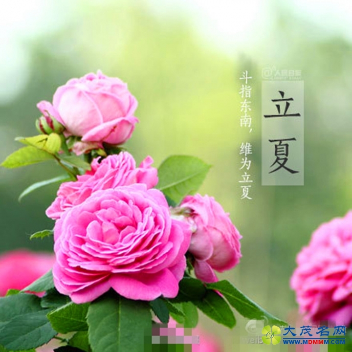 780be8edgw1ertj7rnn74j20c80c875a.jpg