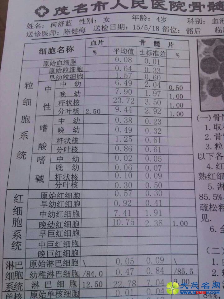 56A44F771D5748ED465B0EEBDEABCC41.jpg
