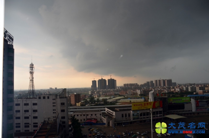 DSC_3645_.jpg