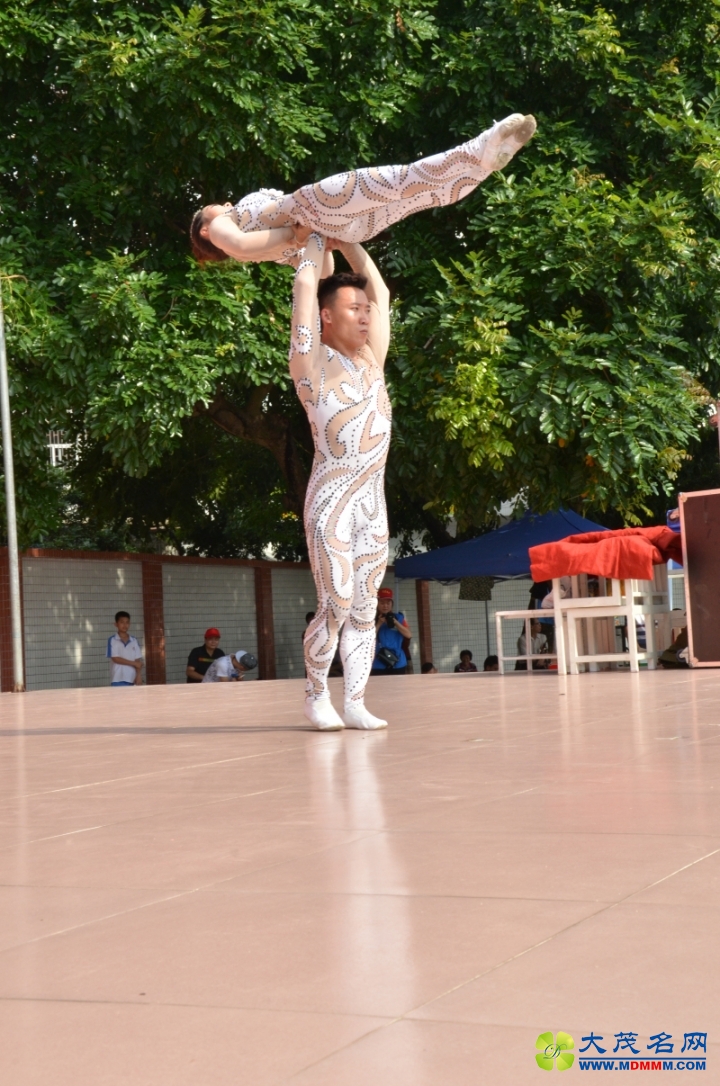 DSC_3771.jpg