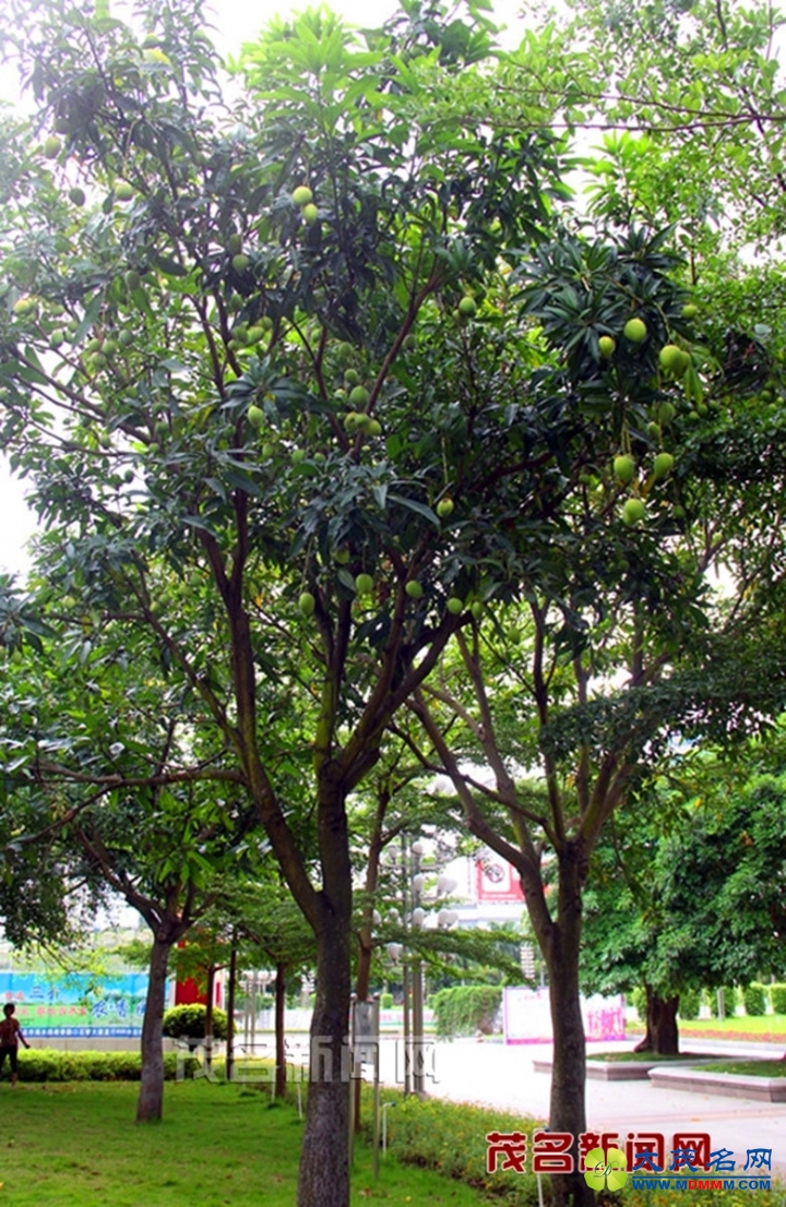 20150604101204177.jpg