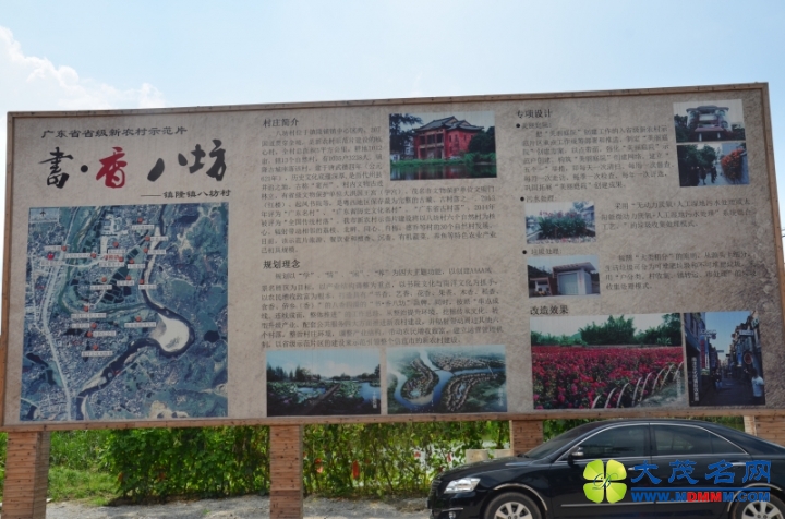 DSC_5370.jpg
