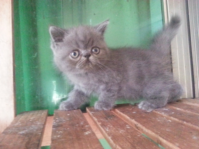 20150724_121056.jpg