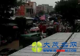 mmexport1443866960201.jpg