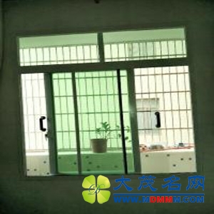 高州桂圆路2.jpg