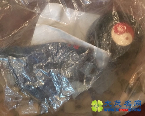 自由滑雪冬奥亚军快递被掉包 手机竟变杂物(图)