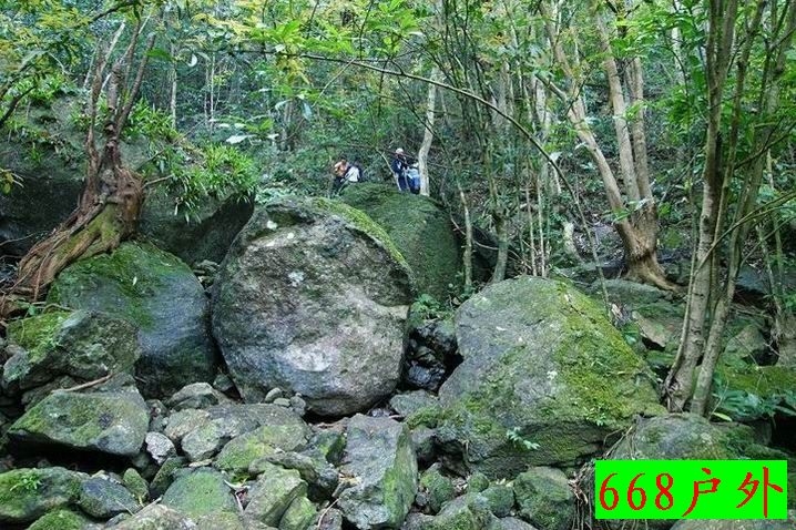 127_36880_4ef3c2706ccc333.jpg