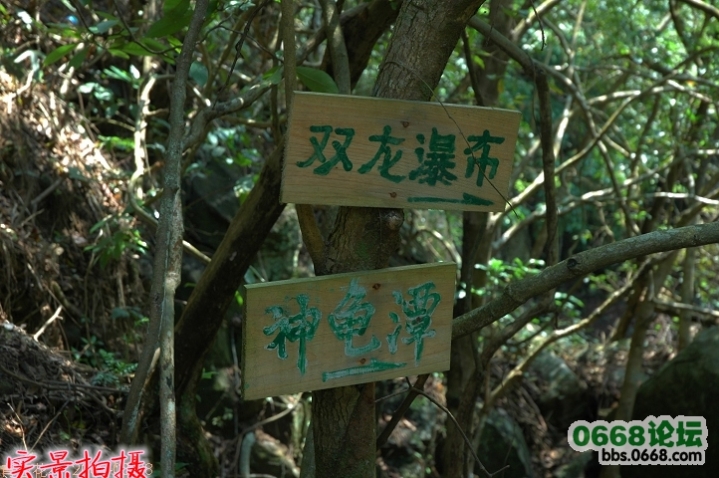 125_122434_4b3d867efe8914d.jpg