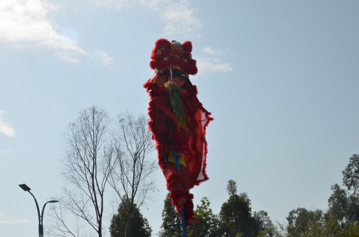 DSC_5132.jpg