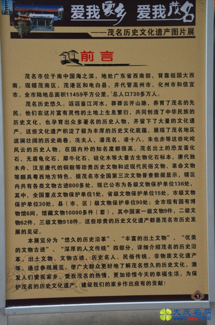 DSC_5203.jpg