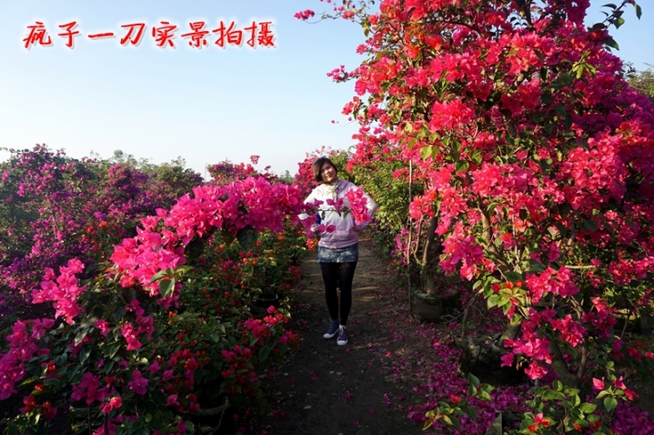 DSC06724.JPG