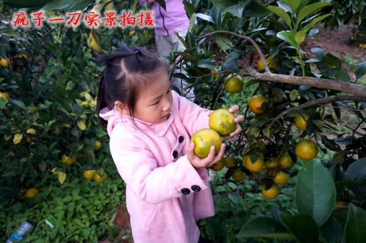 DSC06786.JPG