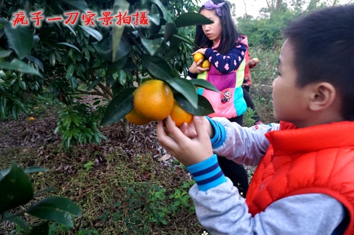 DSC06798.JPG