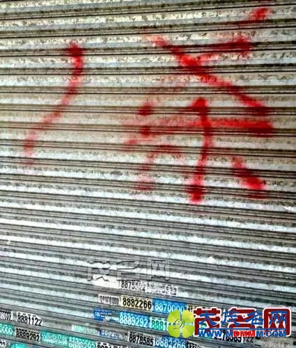 640.webp.jpg