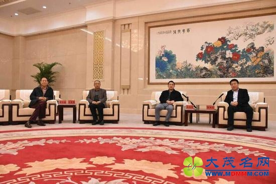 盛大游戏中绒集团会谈 政府催早日回归