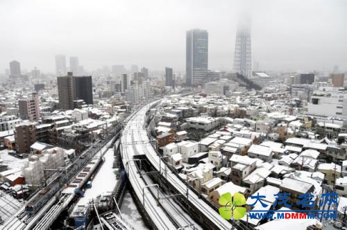 日本遭暴雪袭击200余人伤 交通混乱路人难行