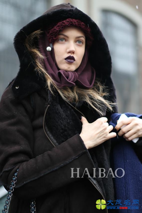 ɭ (Lindsey Wixson)