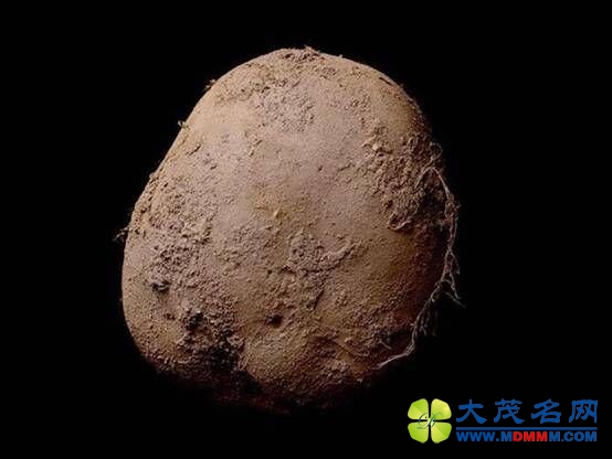 有钱任性 欧洲富商100万欧元买张土豆照片(图)