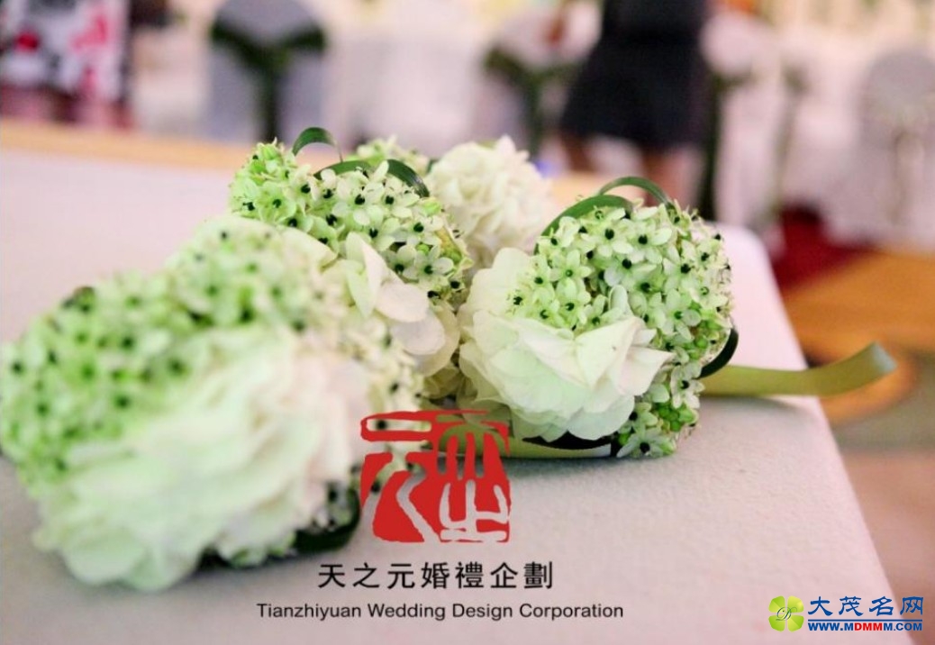 希腊皇宫白绿
