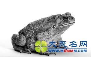 ʹáԿկ 