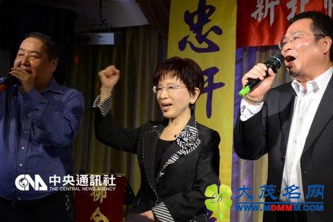 洪秀柱谈国民党主席选举 希望一轮投票搞定