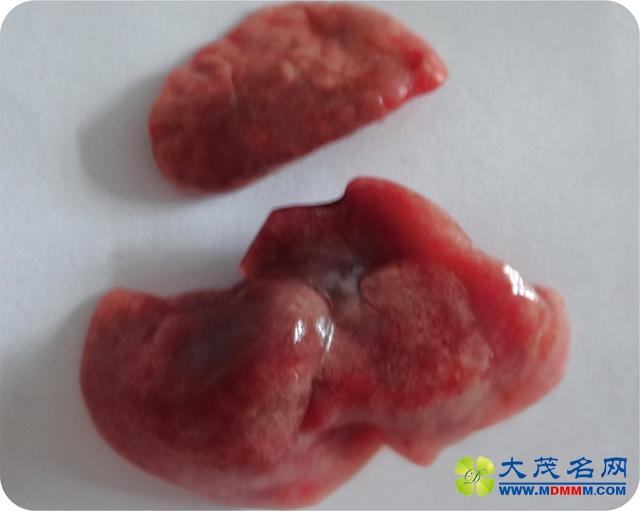 愿雾霾不再是会呼吸的痛