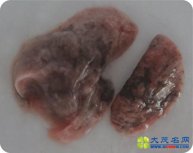 愿雾霾不再是会呼吸的痛