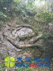 ǧʯ ǧѰ