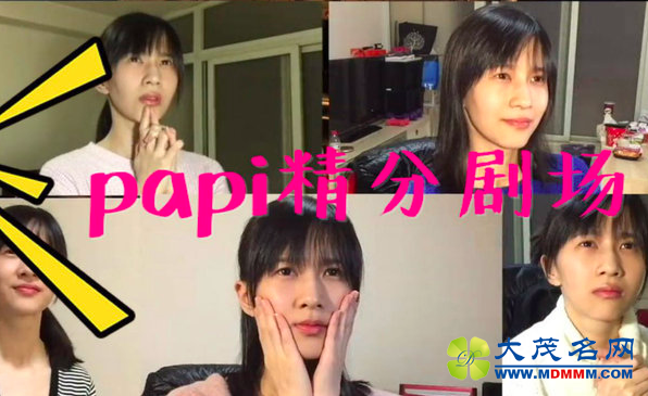 һpapi֮󽫻α֣
