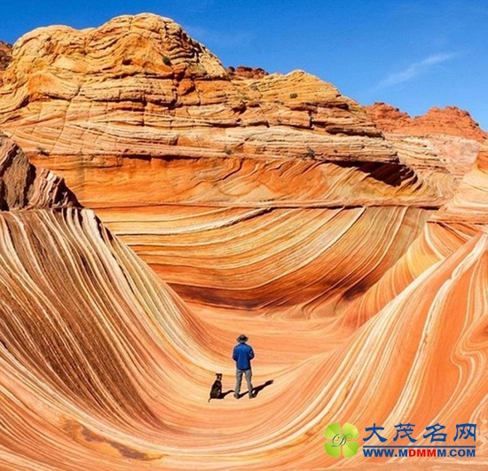 美国小伙患绝症毅然辞职，带爱犬周游全美