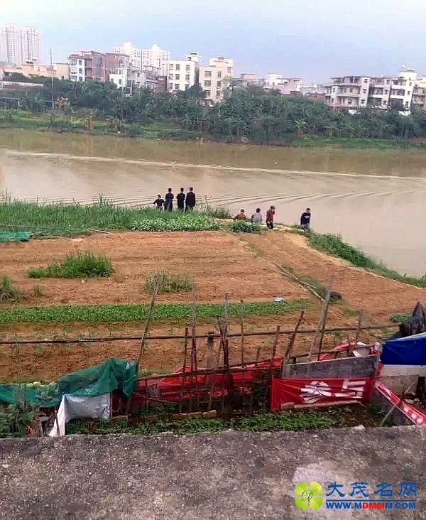 1_.jpg