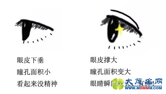 为什么贴了“美目贴”眼睛更有神？