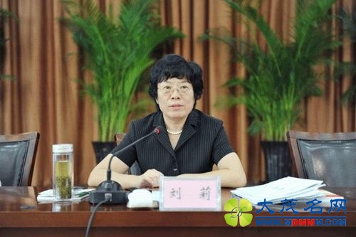 刘莉任安徽省副省长 杨敬农任省政府秘书长