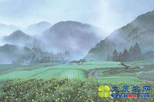 他们不在“艺术圈” 却创作了让圈内疯转的作品